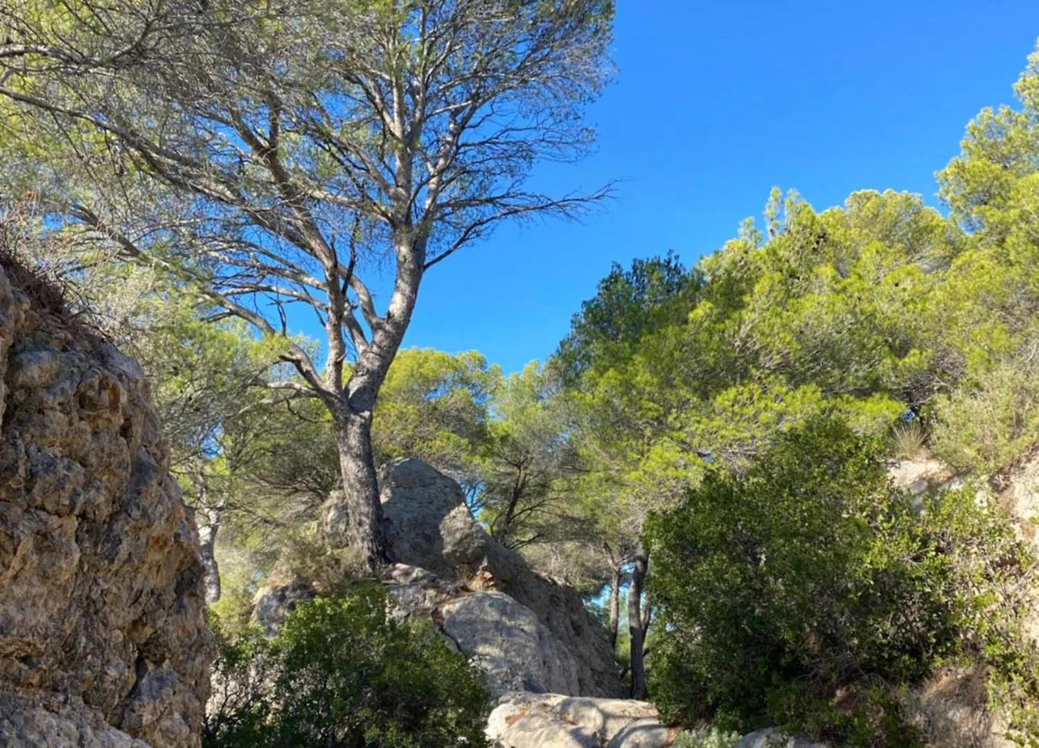 Lovely House Teracce And Parking In Historic Center Aix-en-Provence Holiday home